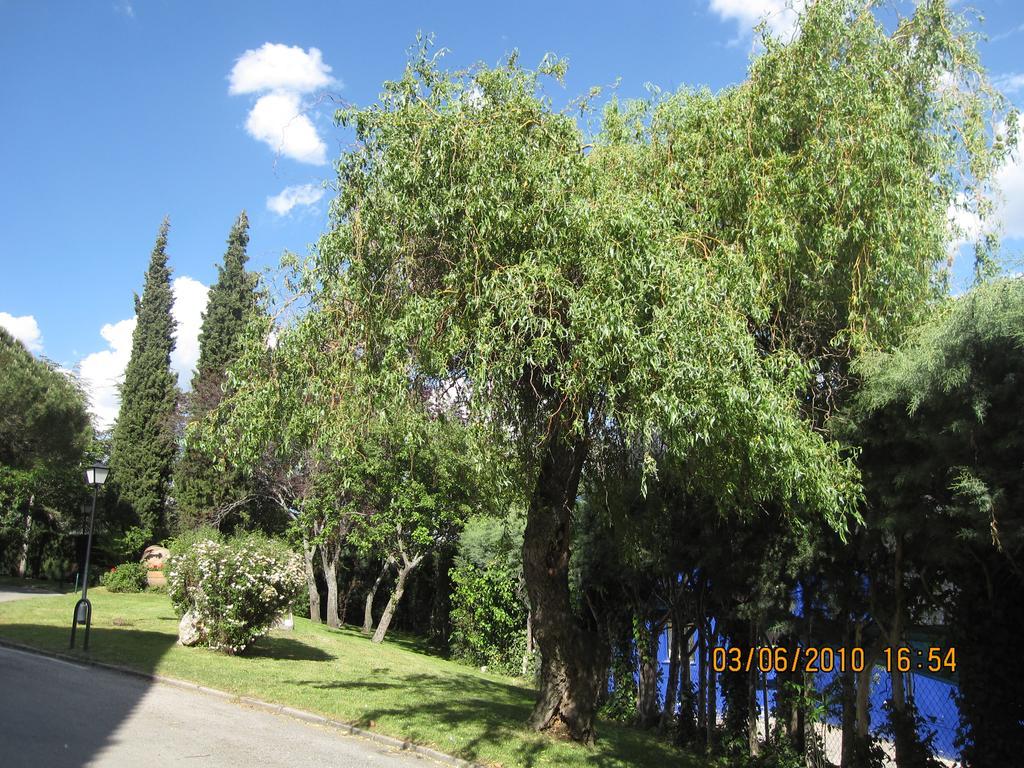 Hotel Rural Spa & Wellness Hacienda Los Robles Navacerrada Buitenkant foto